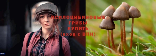 мефедрон мука Новозыбков