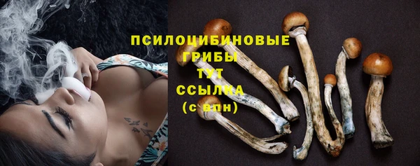 кокаин премиум Новодвинск