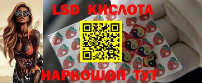 гидра Кандалакша
