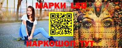 гидра Кандалакша
