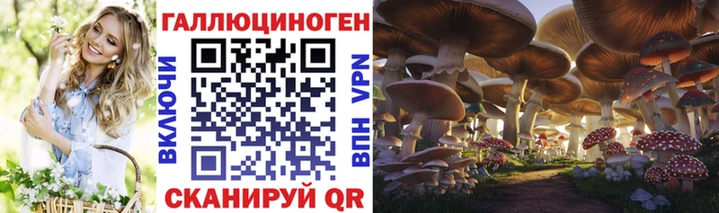 блэк спрут   сколько стоит  Магнитогорск  Галлюциногенные грибы GOLDEN TEACHER 